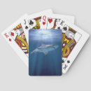 Search for shark playing cards Wildlife
