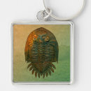 Search for fossils key rings Trilobite