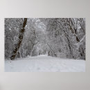 Search for snow covered trees posters Snowy