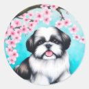 Search for oriental stickers Cherry blossom