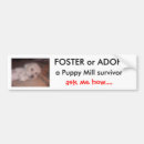 Search for foster bumper stickers Animal