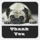 Search for pug thank you stickers Cute