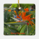 Search for paradise christmas tree decorations Bird of paradise