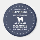 Search for malamute magnets Alaskan malamute dog