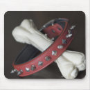 Search for and bone mouse mats Food