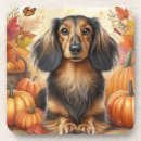 Search for dachshund thanksgiving Black and tan dachshund