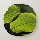 Search for twig cushions Leaf