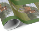 Search for foal wrapping paper Colt