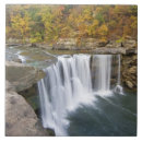 Search for state tiles Fall