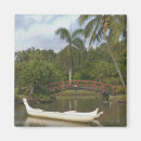 Search for luau magnets Hawaii
