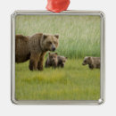 Search for sowing christmas tree decorations Ak