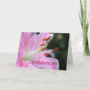 Search for tiger lily cards Pink
