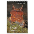 Search for toad office supplies Amphibians