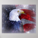 Search for american eagle posters Photography