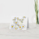 Search for daisies note cards Daisy