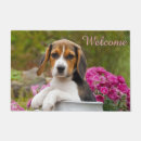 Search for beagle doormats Welcome