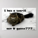Search for maine coon cat art Tabby