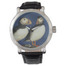 Search for puffin watches Beak