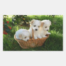 Search for animals rectangle stickers Photograph