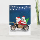 Search for highland christmas cards Animal