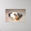 Search for australian canvas prints Canine