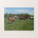 Search for cow puzzles Blue sky