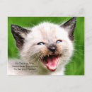 Search for checkup postcards Dental