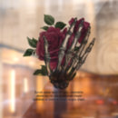 Search for halloween window decals Gothic