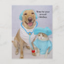 Search for vets postcards Dog