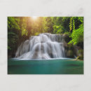 Search for erawan postcards Woods