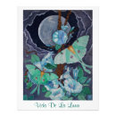 Search for luna moth art Moon