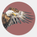 Search for eagle feather stickers Wildlife