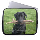 Search for lab photo cases Funny