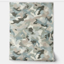 Search for stealth Camouflage