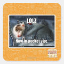 Search for size stickers I can has cheezburger