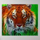 Search for sumatran posters Tiger