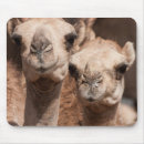 Search for als mouse mats Dubai