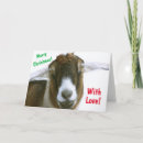 Search for funny romantic christmas cards Cute