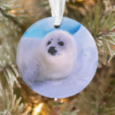 Search for baby seal christmas tree decorations Wild animals