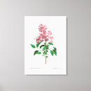 Search for vintage botanical canvas prints Illustration