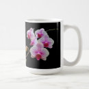Search for phalaenopsis mugs Orchid