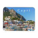 Search for capri magnets Europe