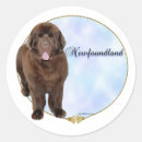 Search for landseer stickers Newfie