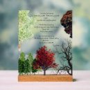 Search for kilmer Trees