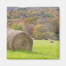 Search for bale magnets Landscape