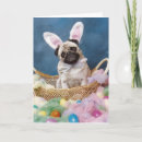 Search for pug easter cards Rabbit