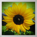 Search for bee stuff art Sunflower