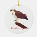 Search for hawk christmas tree decorations Raptor