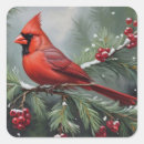 Search for red cardinal stickers Wildlife