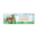 Search for whitetail return address labels Hunting